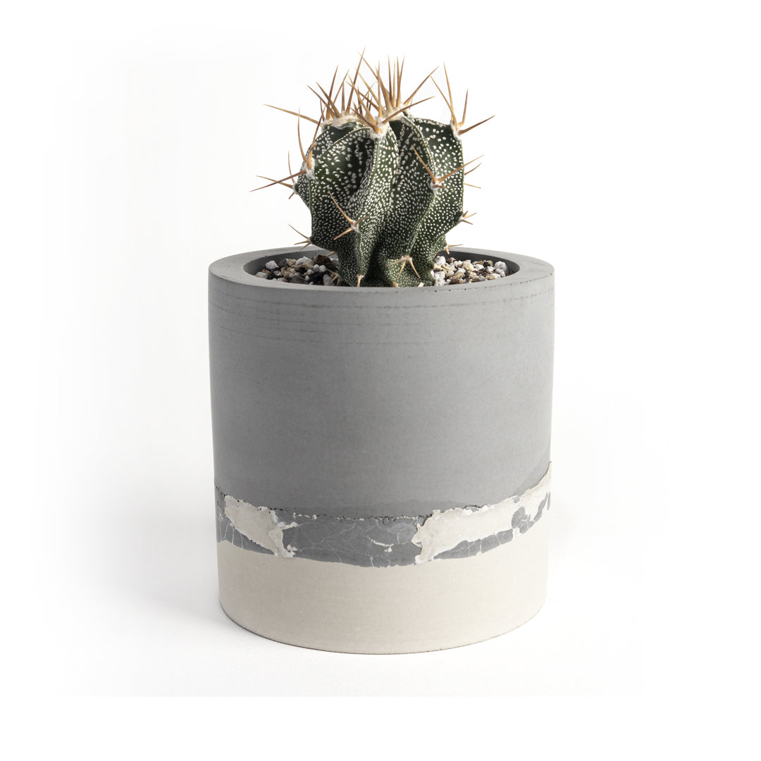 Maceta ocean craquelada con cactus
