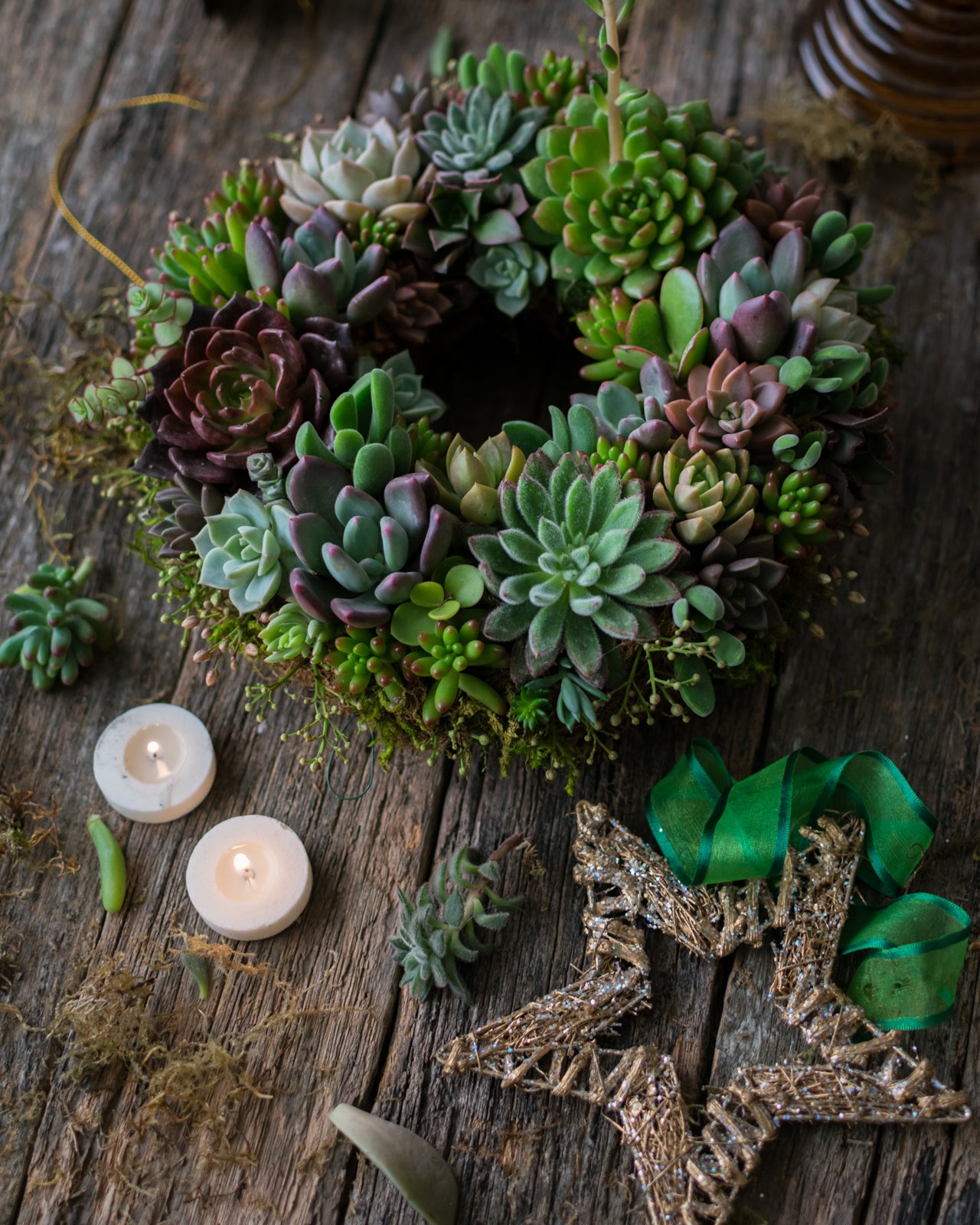 Corona de suculentas grande